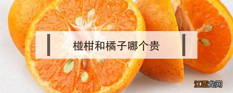 椪柑和橘子哪个贵 橘和柑哪个好吃