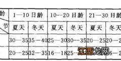 雏鸭的饲养管理注意事项 雏鸭喂养应该注意什么