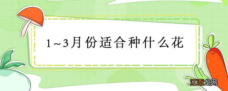 1月份适合养什么花 1~3月份适合种什么花