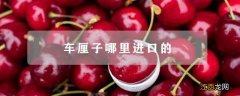 车厘子从哪进口的 车厘子哪里进口的