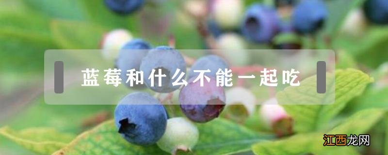 什么不能跟蓝莓一起吃 蓝莓和什么不能一起吃