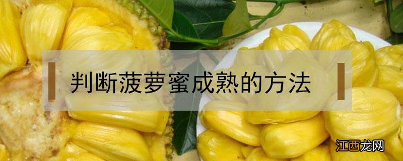 如何判断菠萝蜜成熟 判断菠萝蜜成熟的方法