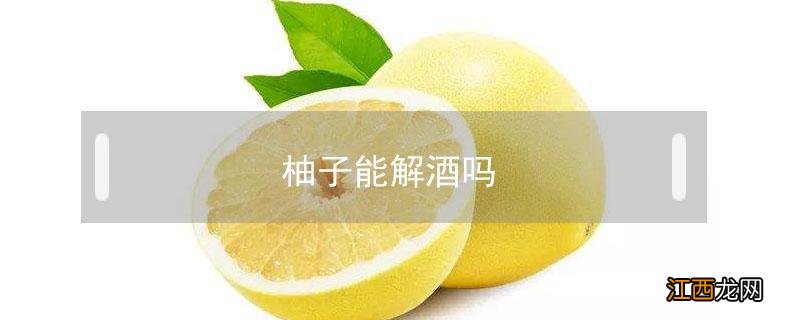 柚子能解酒吗 蜂蜜柚子能解酒吗