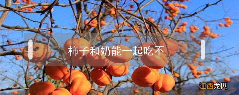 柿子和奶能一起吃不 柿子和奶不能一起吃吗