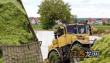 饲喂肉羊的牧草 肉羊可利用的农作物秸秆有哪些