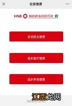 海南农村医疗保险在手机上怎么缴费 海南省农村医疗社保费怎么交