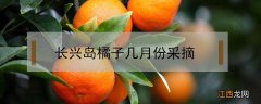 长兴岛桔园什么时候摘橘子 长兴岛橘子几月份采摘