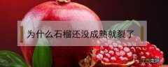 为什么石榴还没成熟就裂了 石榴成熟了会裂开吗