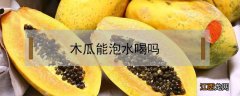 木瓜能泡水喝吗? 木瓜可以泡水喝吗,喝了有什么功效