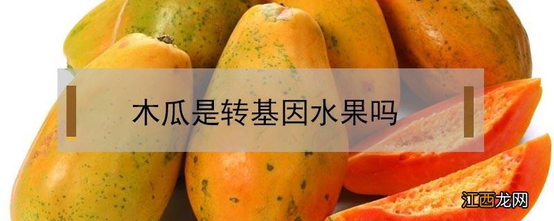 木瓜是转基因水果吗,哺乳对婴儿有害吗? 木瓜是转基因水果吗