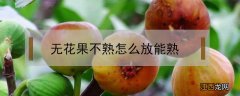 无花果没熟怎么弄熟 无花果不熟怎么放能熟