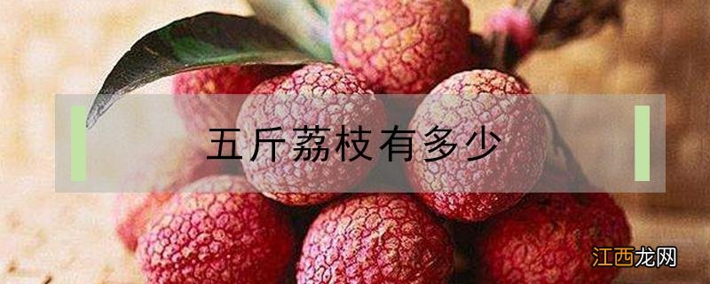 五斤荔枝有多少 五斤荔枝有多少图片