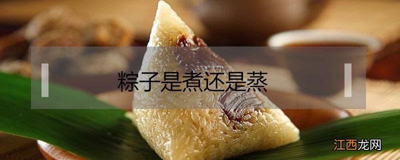 粽子是煮还是蒸 粽子是煮还是蒸多长时间