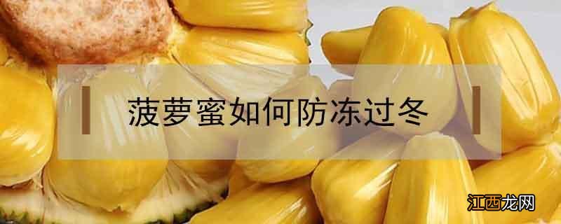 冬天怎么让菠萝蜜熟 菠萝蜜如何防冻过冬