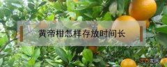 黄帝柑如何保存 黄帝柑怎样存放时间长