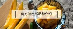 南方哈密瓜品种介绍 哈密瓜种类及名称介绍