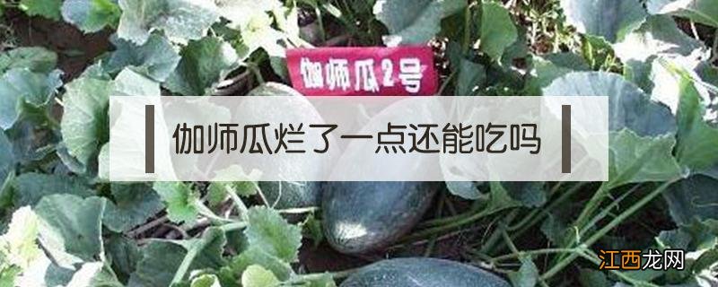 伽师瓜能放多久 伽师瓜烂了一点还能吃吗