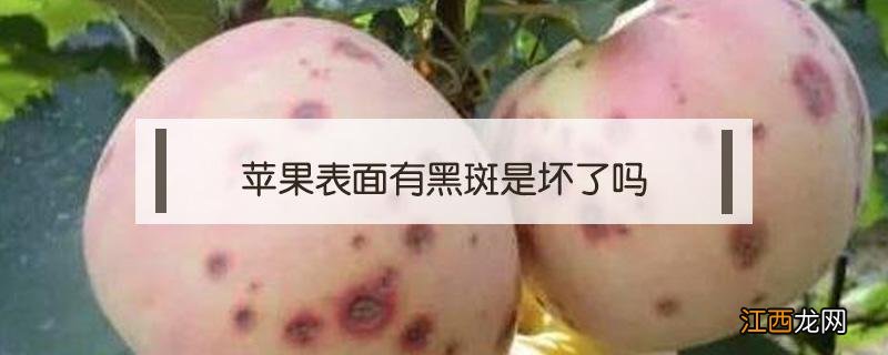 苹果里面有黑斑 苹果表面有黑斑是坏了吗