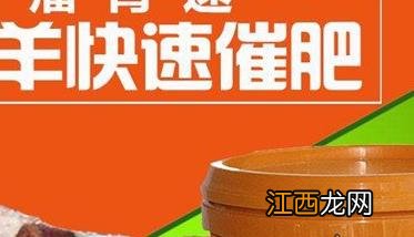 养羊的饲料添加剂有哪些种类 羊用饲料添加剂有哪些