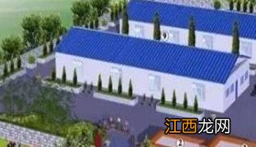 标准化养羊场建设原则是什么 国家级养羊示范场的建设标准