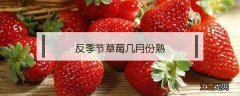 反季节草莓几月份熟 反季草莓是几月