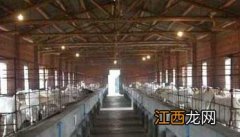 羊养殖场常用消毒药物和方法 大型养羊场养羊怎么消毒