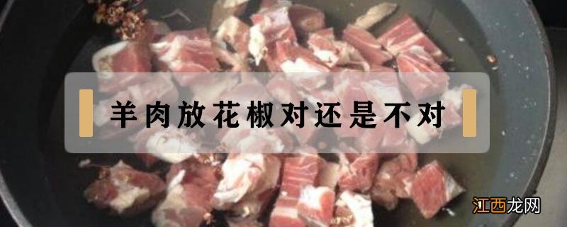 羊肉到底放不放花椒 羊肉放花椒对还是不对