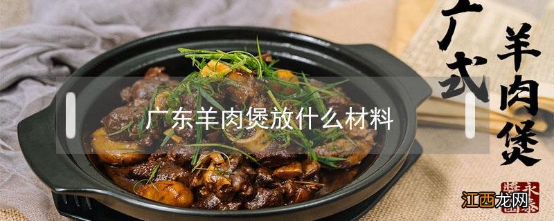 羊肉汤放什么材料 广东羊肉煲放什么材料