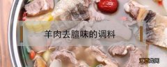 羊肉去膻味的调料 羊肉去膻用什么调料