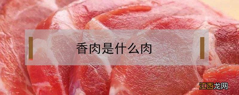 香肉是什么肉 香肉是什么肉做的