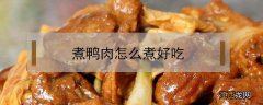 煮鸭肉怎么煮好吃 煮鸭肉怎么煮好吃 视频