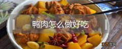 鸭肉怎么做好吃 鸭肉怎么做好吃又简单