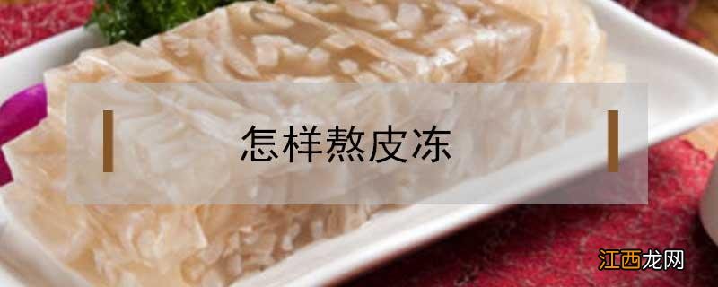 怎样熬皮冻 用肉皮怎样熬皮冻