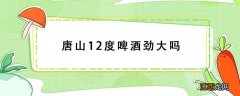 唐山12度啤酒劲大吗 唐山12度啤酒怎么样