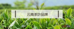 云南茶叶品牌 云南茶叶品牌大全