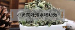 黄芪叶和枸杞泡水喝有什么作用 小黄芪叶泡水喝功效