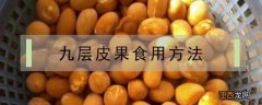 九层皮果怎么做好吃 九层皮果食用方法