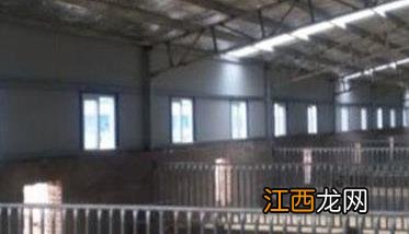 发酵床鸡舍怎样建造 发酵床鸡舍怎样建造视频