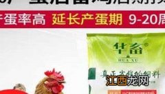 鸡用复合添加剂的功效如何 鸡用添加剂品牌