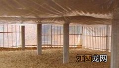 发酵床养鸡场发酵床建造要求 养鸡场发酵床怎么做