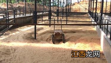 发酵床养鸡的鸡舍设计原则与建造要求