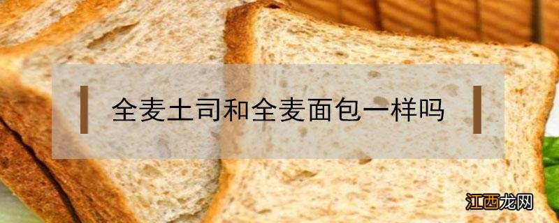 全麦土司和全麦面包一样吗 全麦面包和普通面包