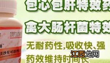 鸡大肠杆菌病的症状与剖检诊断 鸡大肠杆菌病的发病症状与治疗