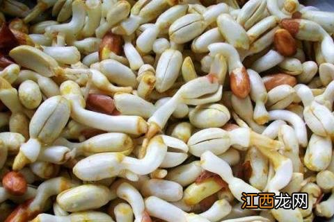 花生芽市场需求大吗,花生芽市场价多少钱一斤