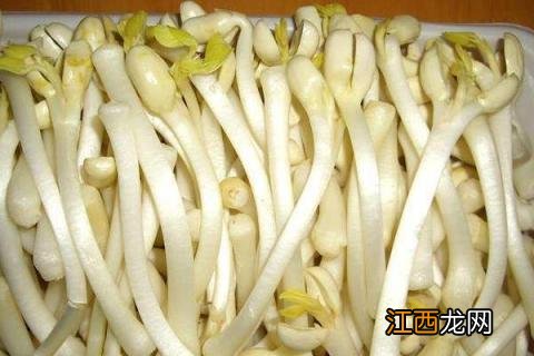 花生芽市场需求大吗,花生芽市场价多少钱一斤