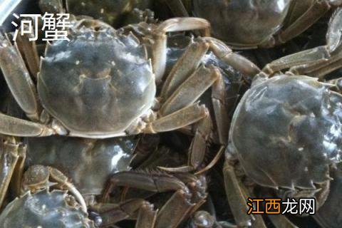 海蟹河蟹哪个嘌呤高 河蟹是高嘌呤食物吗