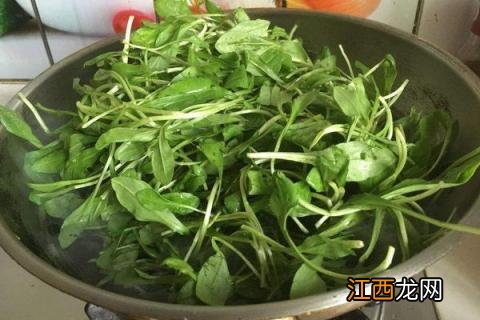 马兰头是什么野菜马兰头我们叫鞋菊 马兰头是什么野菜