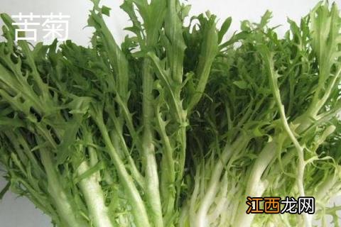 苦苣和苦菊、茼蒿、荠菜的区别是什么