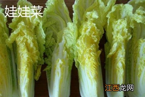 娃娃菜和大白菜的区别 娃娃菜与大白菜的区别是什么