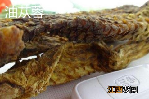 油苁蓉和肉苁蓉的区别是什么图片 油苁蓉和肉苁蓉的区别是什么